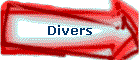 Divers