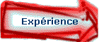 Exprience