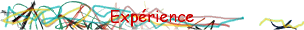 Exp�rience
