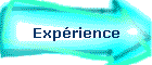 Exprience